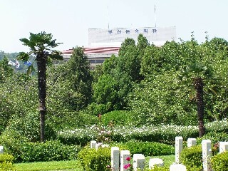 P72900520000.jpg