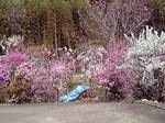 14-04-10_013.jpg