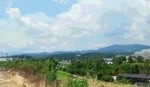 20150724_103346.jpg